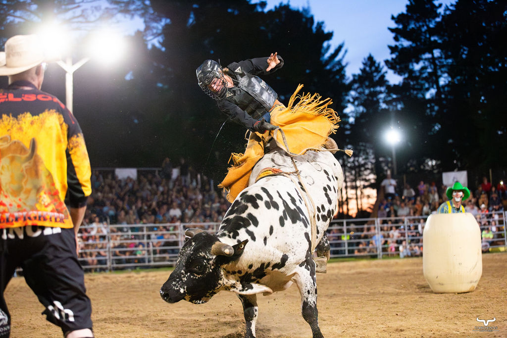 A cowboy explodes from the chute on a bucking bronc, dust flying under arena lights